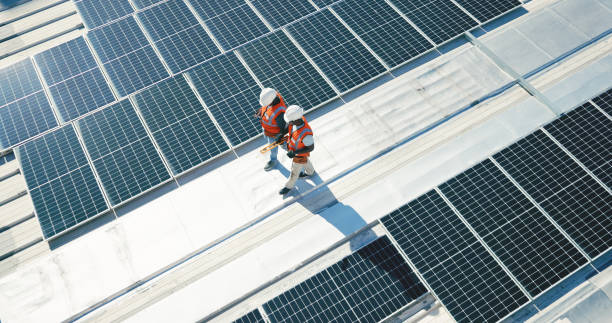 Best Roof Moss and Algae Removal  in Hayfield, VA